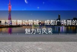 高原蓝舞动蓉城：成都广场舞的魅力与风采
