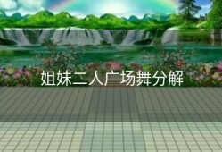 姐妹二人广场舞分解