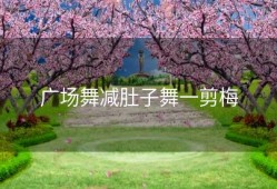 广场舞减肚子舞一剪梅