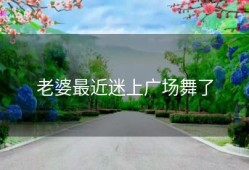 老婆最近迷上广场舞了