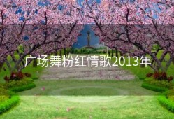 广场舞粉红情歌2013年