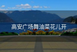 高安广场舞油菜花儿开