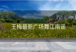 王梅最新广场舞江南谣