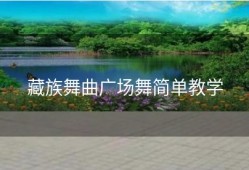 藏族舞曲广场舞简单教学