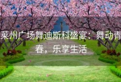 莱州广场舞迪斯科盛宴：舞动青春，乐享生活