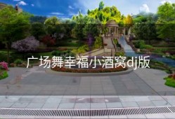 广场舞幸福小酒窝dj版
