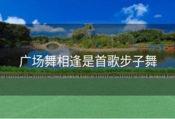 广场舞相逢是首歌步子舞