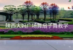 陕西大妈广场舞扇子舞教学