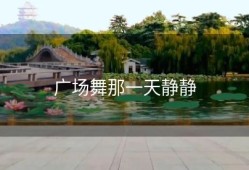 广场舞那一天静静