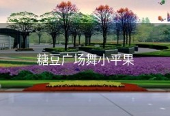 糖豆广场舞小平果