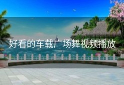 好看的车载广场舞视频播放