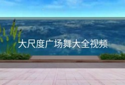 大尺度广场舞大全视频