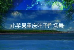 小苹果重庆叶子广场舞