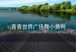 青青世界广场舞小黄鸭