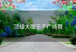 顶级大咖王子广场舞