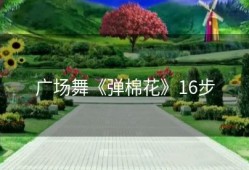 广场舞《弹棉花》16步