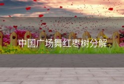 中国广场舞红枣树分解