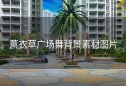 薰衣草广场舞背景素材图片