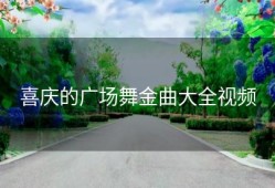 喜庆的广场舞金曲大全视频