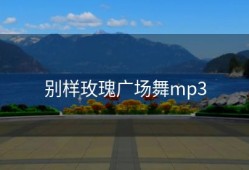 别样玫瑰广场舞mp3