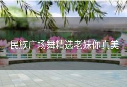 民族广场舞精选老妹你真美