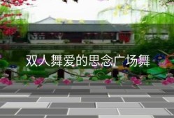 双人舞爱的思念广场舞