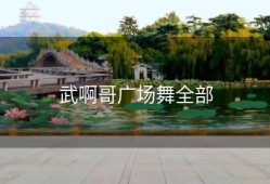 武啊哥广场舞全部