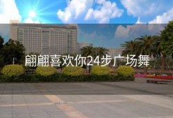 翩翩喜欢你24步广场舞