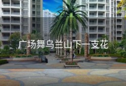 广场舞乌兰山下一支花