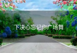 下决心忘记你广场舞