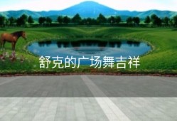 舒克的广场舞吉祥