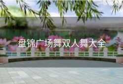 盘锦广场舞双人舞大全