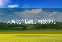 大妈跳广场舞手机放哪儿