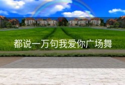 都说一万句我爱你广场舞