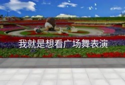 我就是想看广场舞表演