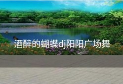 酒醉的蝴蝶dj阳阳广场舞