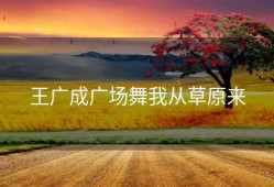 王广成广场舞我从草原来