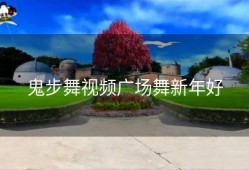 鬼步舞视频广场舞新年好