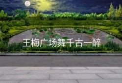 王梅广场舞千古一醉