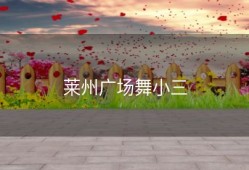 莱州广场舞小三