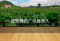 藏族舞蹈广场舞单人