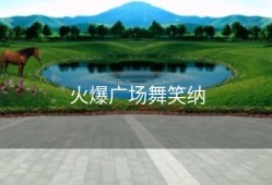 火爆广场舞笑纳