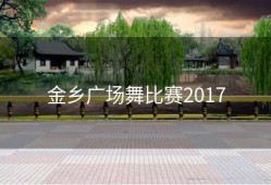 金乡广场舞比赛2017