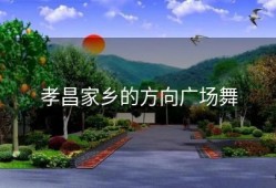 孝昌家乡的方向广场舞
