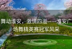舞动淮安，激情四溢——淮安广场舞精英赛冠军风采