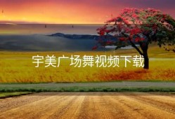 宇美广场舞视频下载