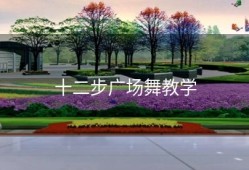 十二步广场舞教学