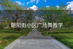 朝阳街小区广场舞教学