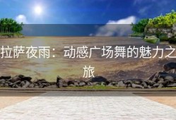 拉萨夜雨：动感广场舞的魅力之旅