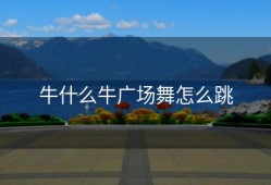 牛什么牛广场舞怎么跳